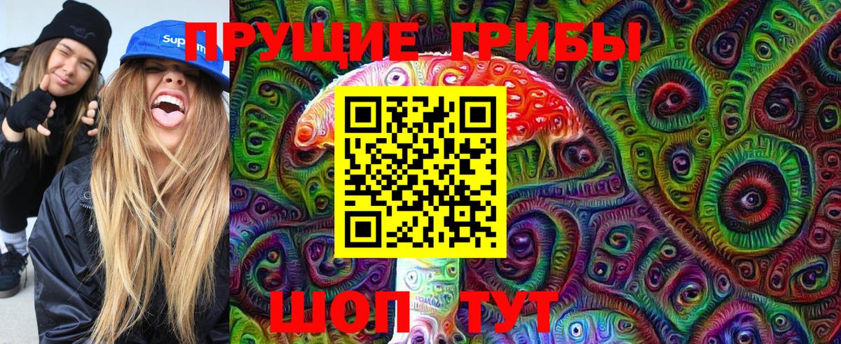 Красноперекопск  Галлюциногенные грибы Psilocybine cubensis  Вход с VPN 